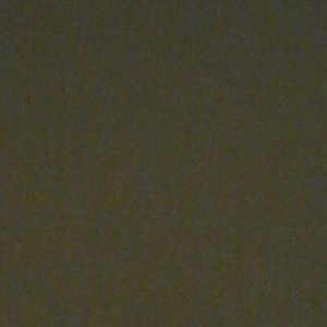 Meet your Posher, Antwan